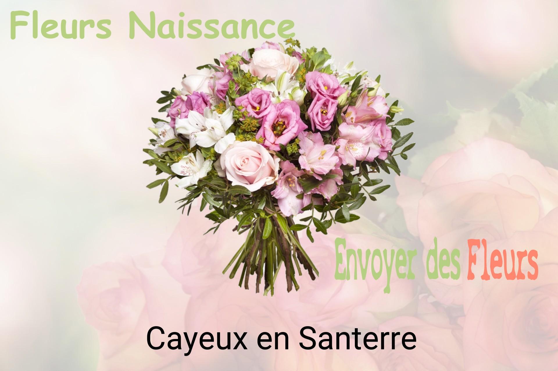 Bouquet de fleurs de naissance livré à Cayeux-en-Santerre