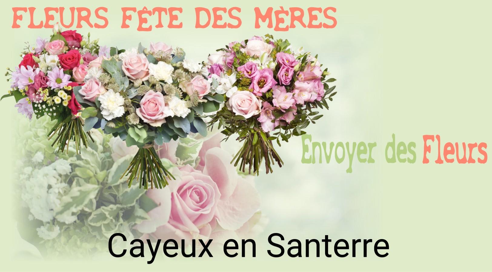 Bouquet de Fête des Mères livré à Cayeux-en-Santerre
